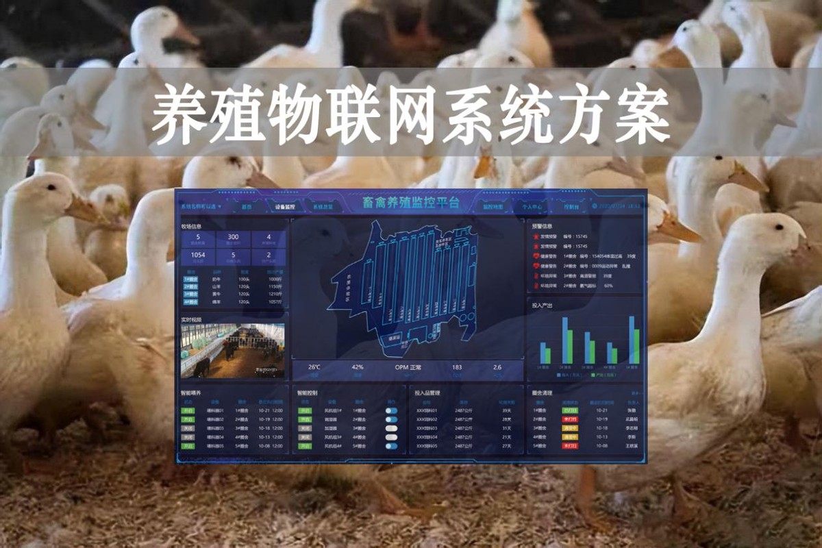 【智慧養(yǎng)殖】數(shù)字經(jīng)濟(jì)時(shí)代到來，養(yǎng)殖物聯(lián)網(wǎng)系統(tǒng)方案來了