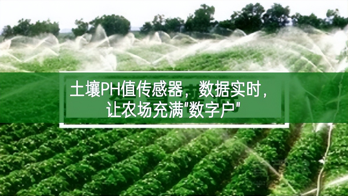 土壤PH值傳感器，數(shù)據(jù)實(shí)時(shí)，讓農(nóng)場(chǎng)充滿(mǎn)"數(shù)字戶(hù)"