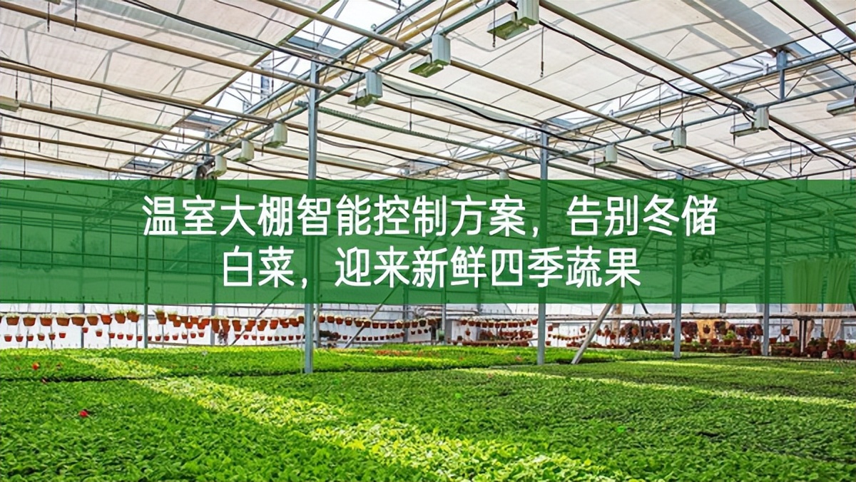 溫室大棚智能控制方案，告別冬儲白菜，迎來新鮮四季蔬果