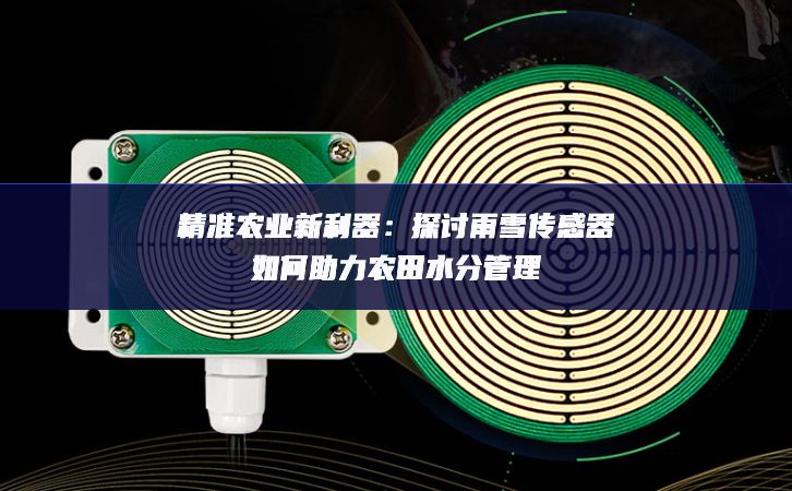 精準農(nóng)業(yè)新利器：探討雨雪傳感器如何助力農(nóng)田水分管理
