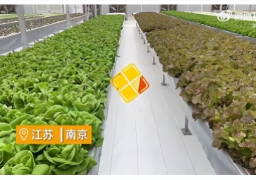 聚英智慧溫室控制系統(tǒng)，建設(shè)植物工廠，一年多茬