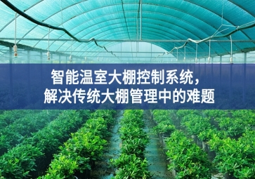 「智慧農(nóng)業(yè)」智能溫室大棚控制系統(tǒng)，解決傳統(tǒng)大棚管理中的難題