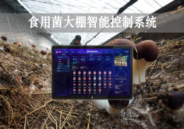 「智慧養(yǎng)殖」食用菌大棚智能監(jiān)控系統(tǒng)，自動調(diào)節(jié)溫濕度