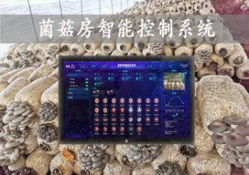 「智慧養(yǎng)殖」菌菇房智能控制系統(tǒng)，智能控溫，助力大棚食用菌種植