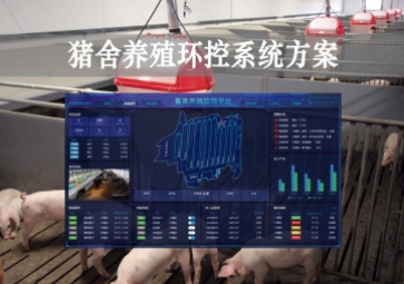 「智慧養(yǎng)殖」豬舍養(yǎng)殖環(huán)控系統(tǒng)方案，獲取環(huán)境參數(shù)，數(shù)字化畜牧業(yè)
