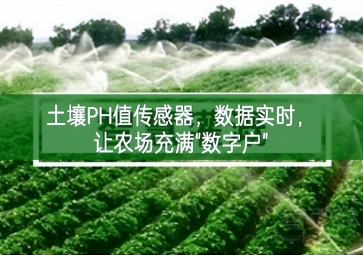 土壤PH值傳感器，數(shù)據(jù)實時，讓農(nóng)場充滿"數(shù)字戶"