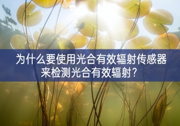 為什么要使用光合有效輻射傳感器來檢測光合有效輻射？