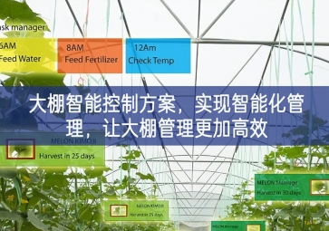 「智慧農(nóng)業(yè)」大棚智能控制方案,實現(xiàn)智能化管理，讓大棚管理更加高效 
