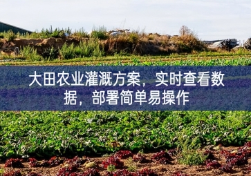 「智慧農(nóng)業(yè)」大田農(nóng)業(yè)灌溉方案，實(shí)時(shí)查看數(shù)據(jù)，部署簡單易操作