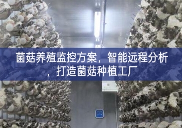 「智慧養(yǎng)殖」菌菇養(yǎng)殖監(jiān)控方案，智能遠(yuǎn)程分析，打造菌菇種植工廠